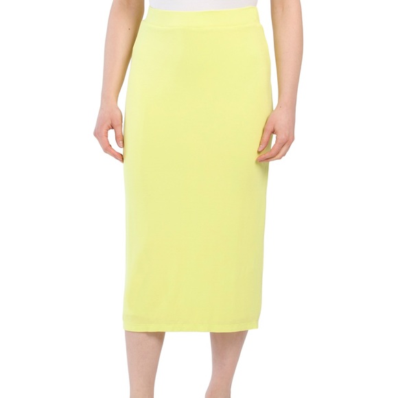 NWT YOUNG FABULOUS & BROKE Phoenix Skirt - Picture 1 of 2